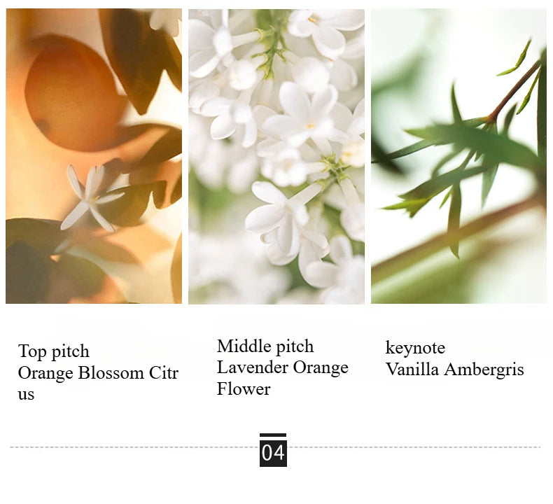 Men Wild Fragrance Set 30ml x 3 Eau de Toilette Gift Pack for Men Long-Lasting Masculine Scent for Daily Use & Special Occasions