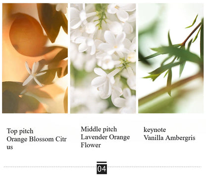 Men Wild Fragrance Set 30ml x 3 Eau de Toilette Gift Pack for Men Long-Lasting Masculine Scent for Daily Use & Special Occasions